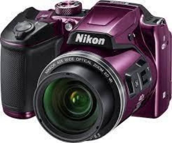 Picture of Nikon D50 Purple